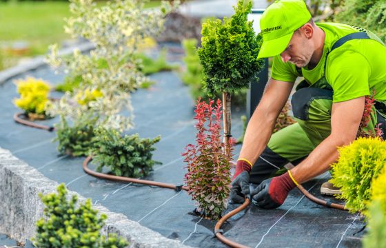 Landscaping-Services_Landscaper_0